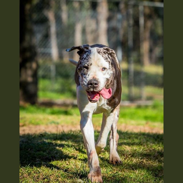 Photo of Major 