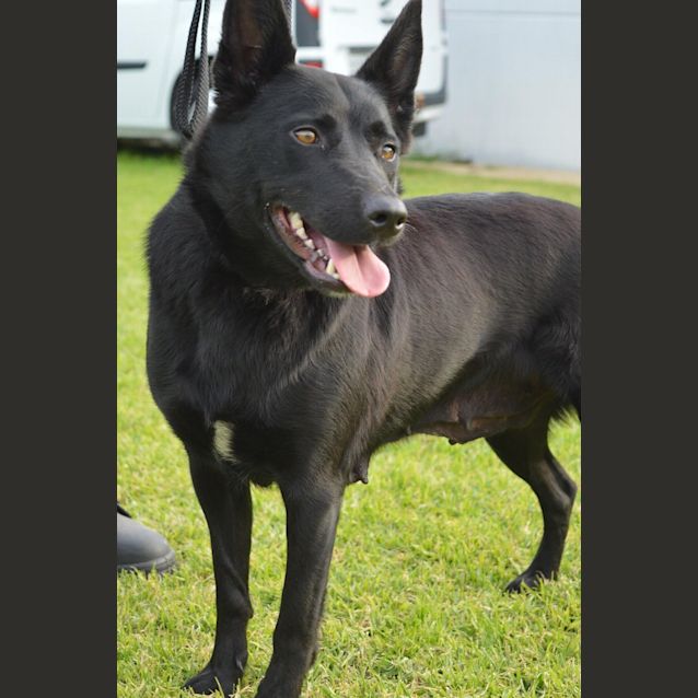 Photo of Lara Dl1095