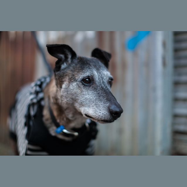 Photo of Jd   The Fine Wine Connoisseur 