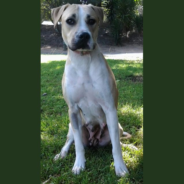 Photo of 095 1595 Summer