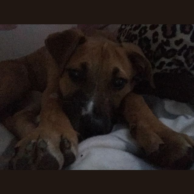 Photo of Axel