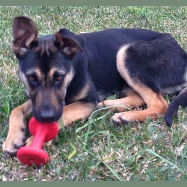 Photo of Precious Penny