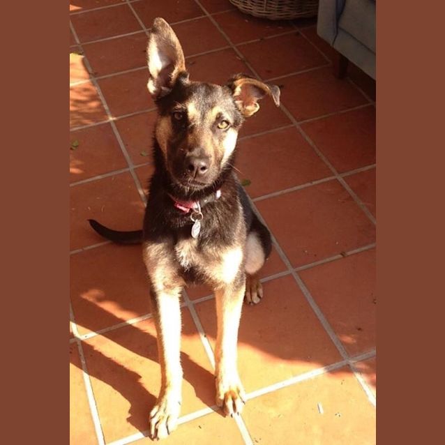 Photo of Precious Penny