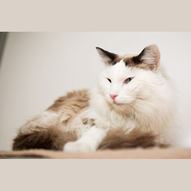 Photo of Salina