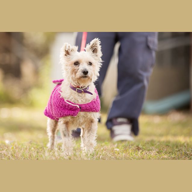 Photo of Lilly