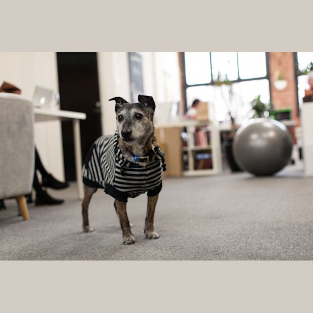 Photo of Jd   The Fine Wine Connoisseur 