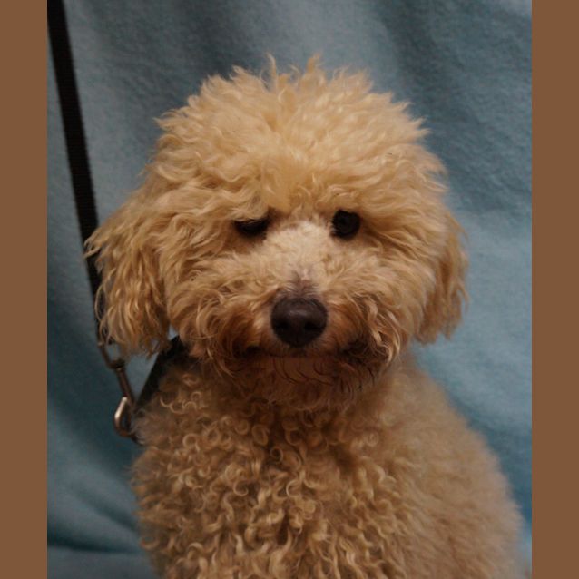 Photo of Monty