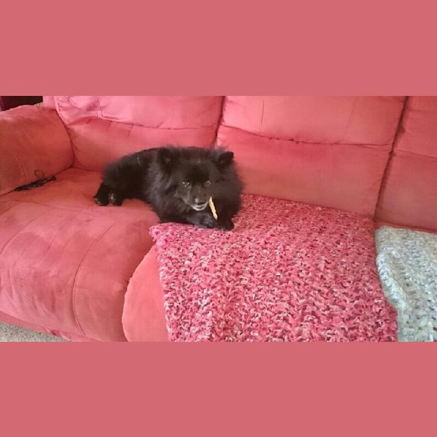 Photo of Max