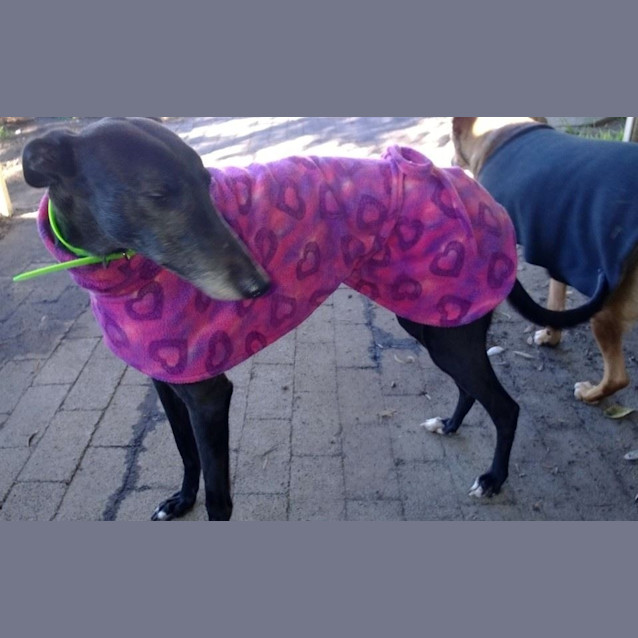 Photo of Amy
