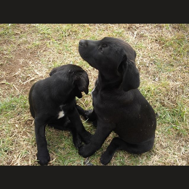 Photo of Sabina On Hold