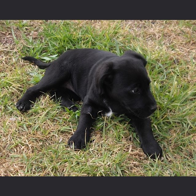 Photo of Sabina On Hold