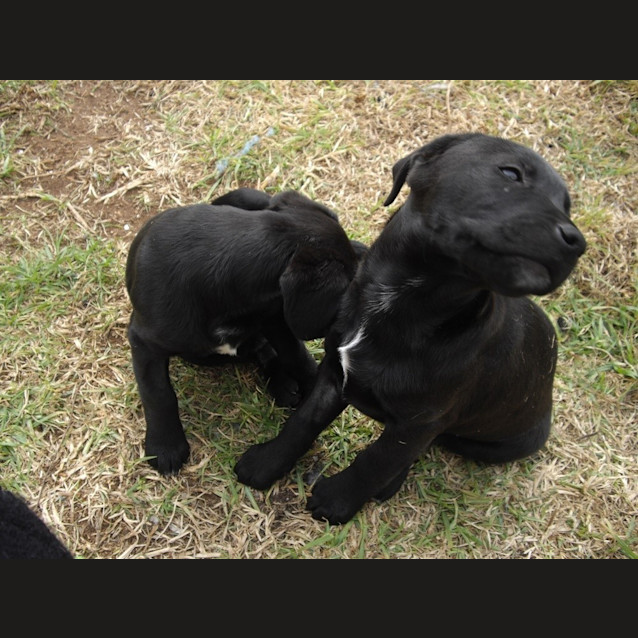 Photo of Sabina On Hold