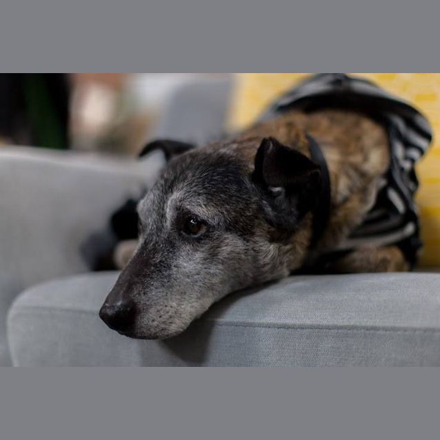 Photo of Jd   The Fine Wine Connoisseur 