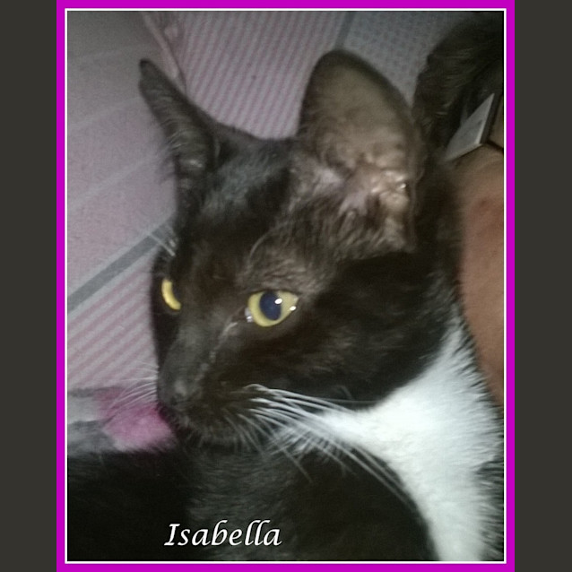 Photo of Isabella