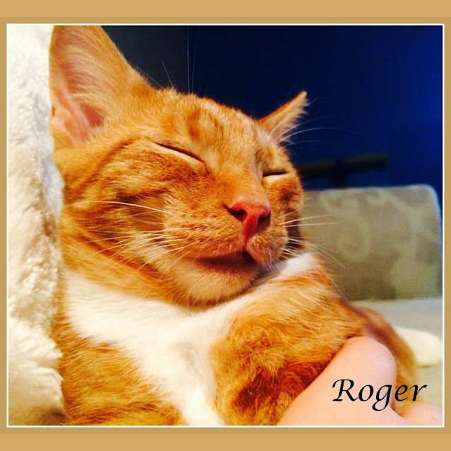 Photo of Roger