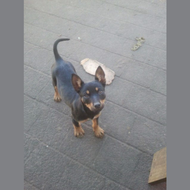 Photo of Jazz