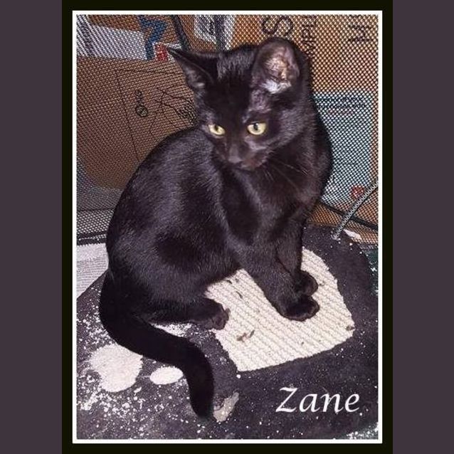 Photo of Zane