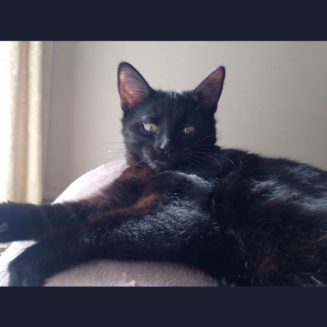 Photo of Bernie