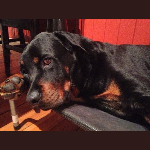Photo of Gabe