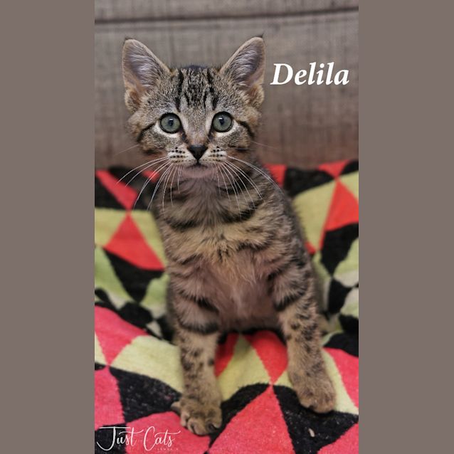 Photo of Delila