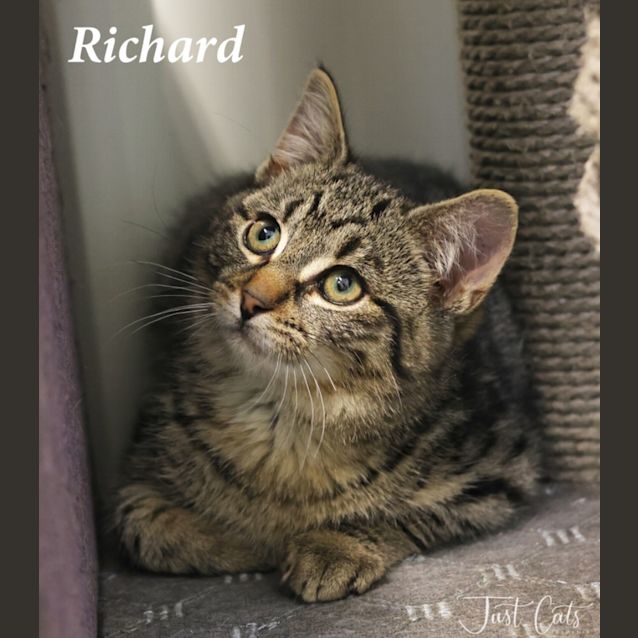 Photo of Richard