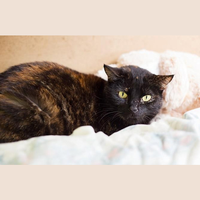 Photo of Freda