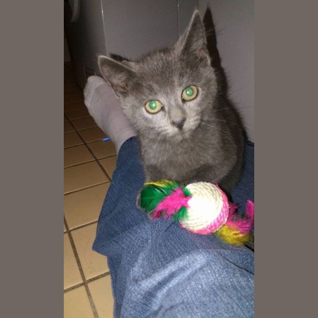 Photo of Smokey 