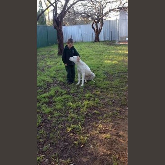 Photo of Polar