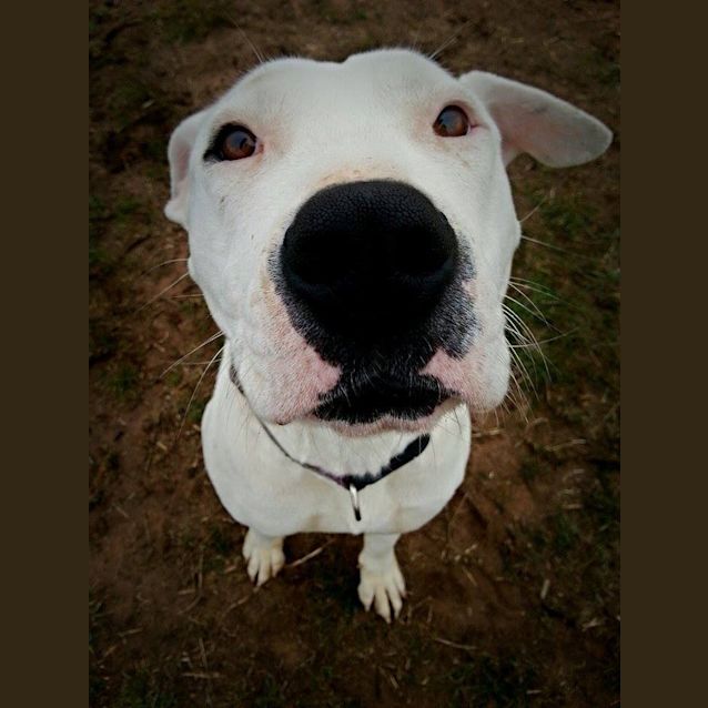 Photo of Polar