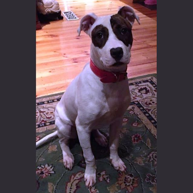 Photo of Susie