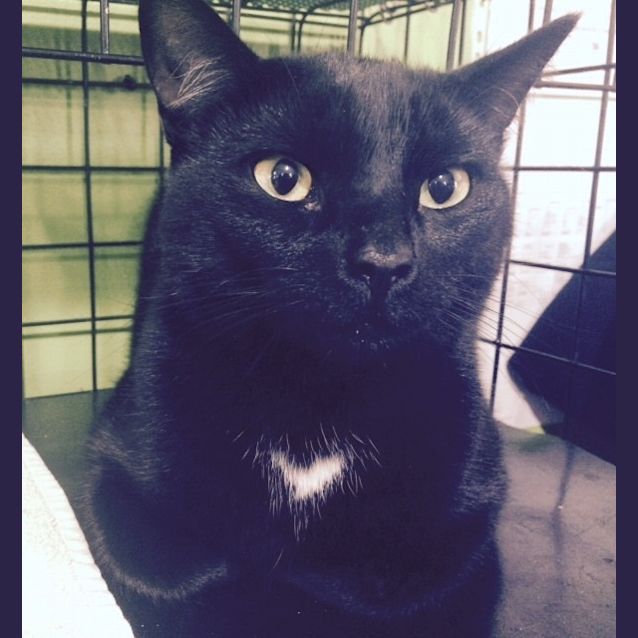 Photo of Tama