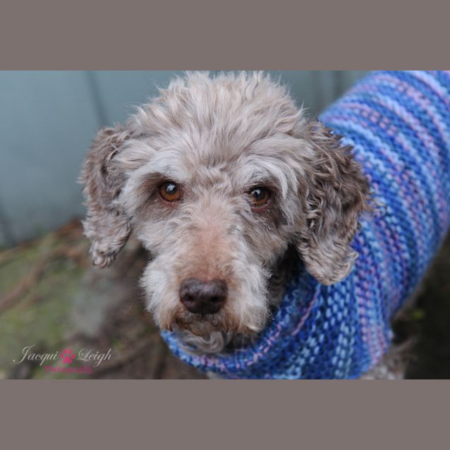 Photo of Hugo
