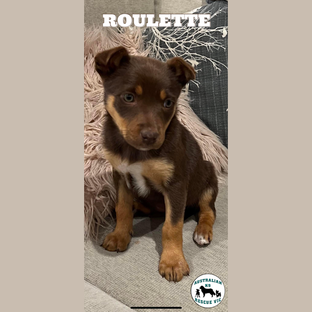 Photo of Roulette 