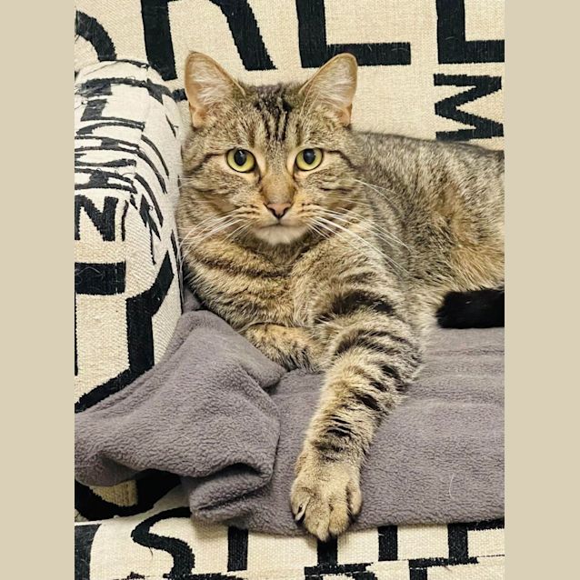 Photo of Onsie   Located In Preston