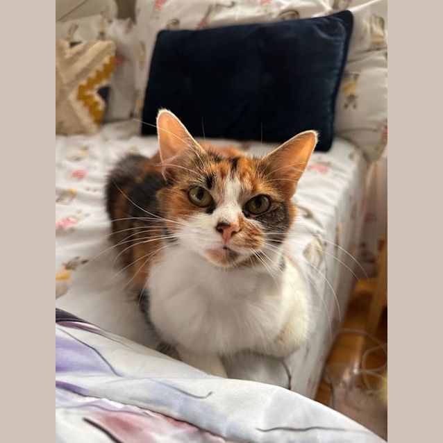 Photo of Amy