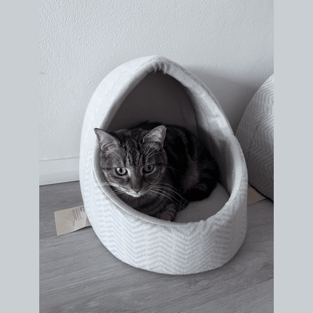 Photo of Milli And Chilli