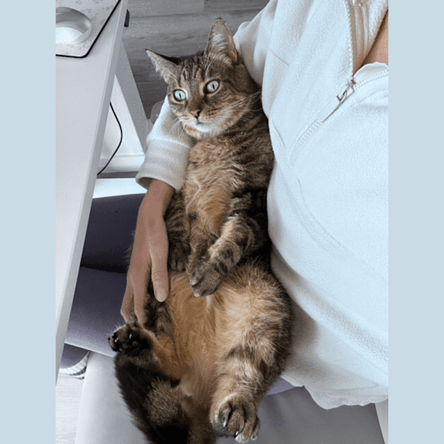 Photo of Milli And Chilli