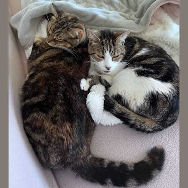 Photo of Milli And Chilli