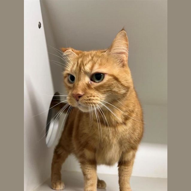 Photo of Benny