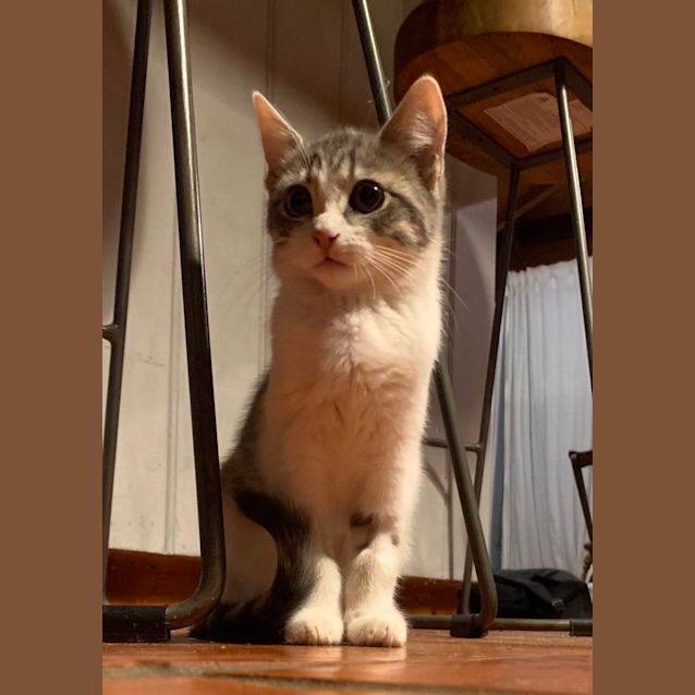 Photo of Blue
