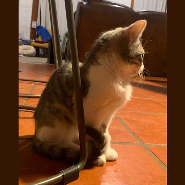 Photo of Blue