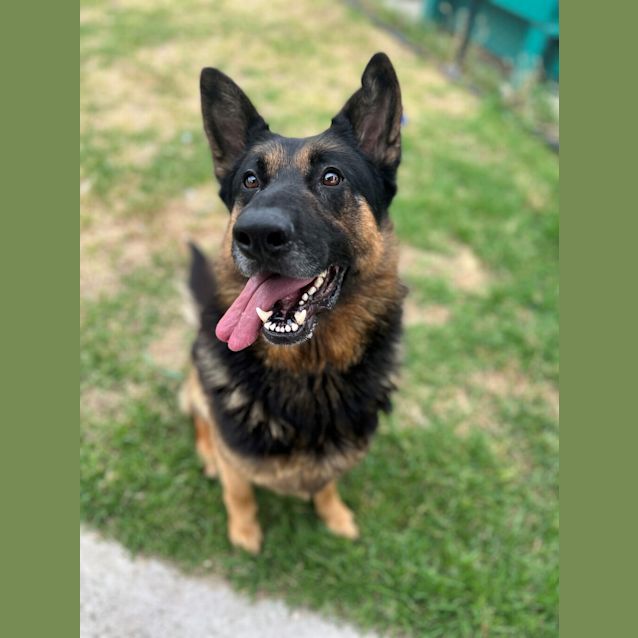 Photo of Alpha