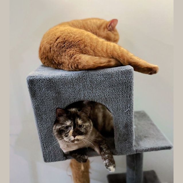 Photo of 🍊🃏Lily T & Jane🃏🍊