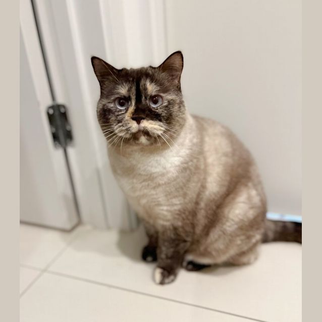 Photo of 🍊🃏Lily T & Jane🃏🍊