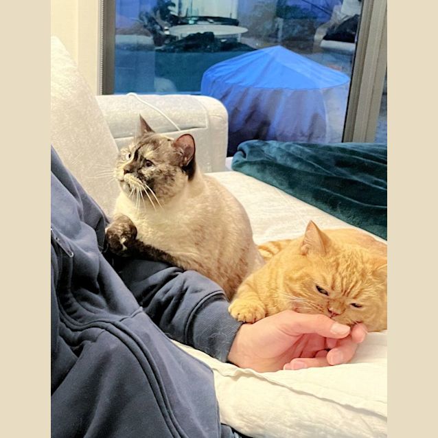 Photo of 🍊🃏Lily T & Jane🃏🍊