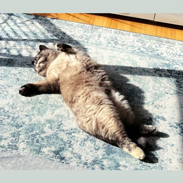 Photo of 🍊🃏Lily T & Jane🃏🍊