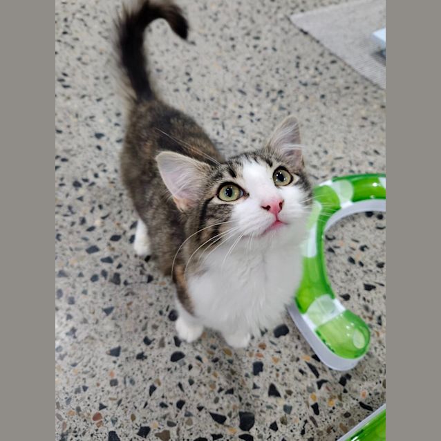Photo of Mina