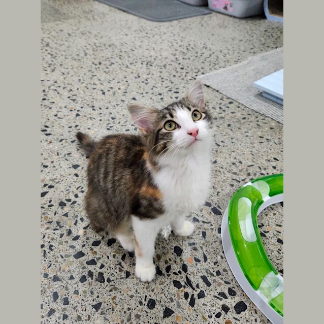 Photo of Mina