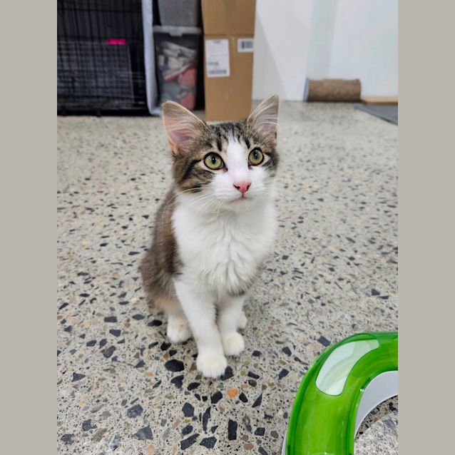 Photo of Mina