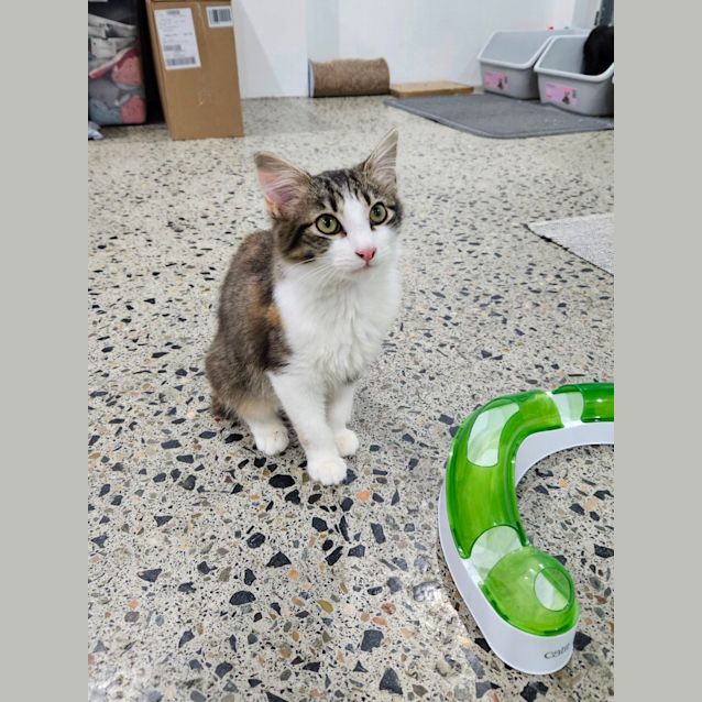 Photo of Mina